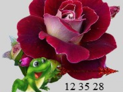 Роза красная с лягушкой и часами