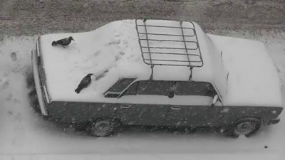 Вороны явно не ту травку поклевали=)