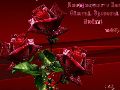 РОЗЫ для ВАС друзья