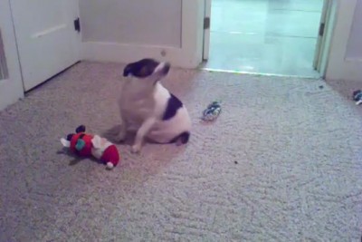 Двигай попой!