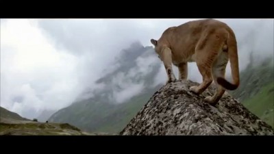 Стой до конца и не вздумай сломаться!