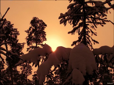 Слайды Зима.(проба)