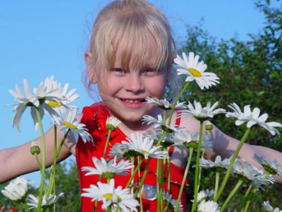 Вот и лето наступило