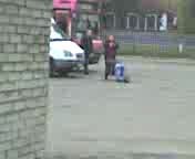 Парнокопытный 2