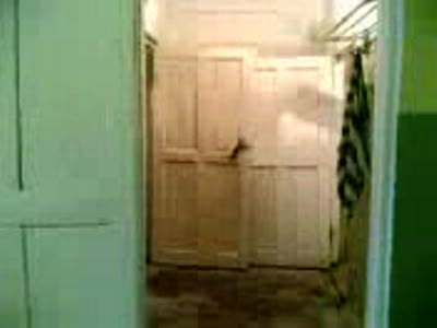 Железный капут