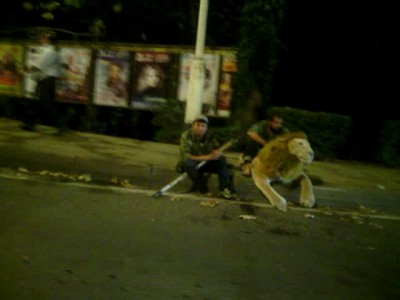 Братья Запашные