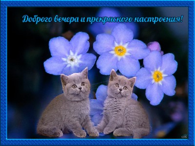 Добрый вечер.