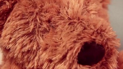 Teddy Has An Operation