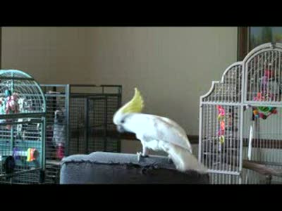 Майкл Джексон впечатлил