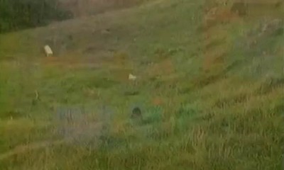 Спецназ, танцуемкино снимаем