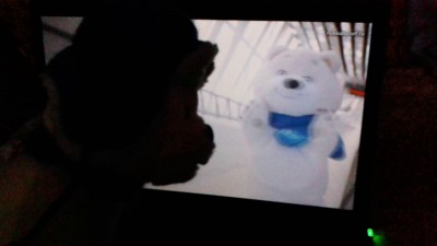 Мишка смотрит биатлон