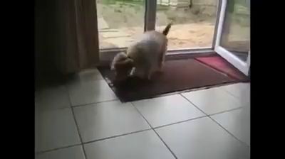 воспитание