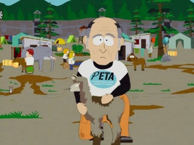 суть выборов