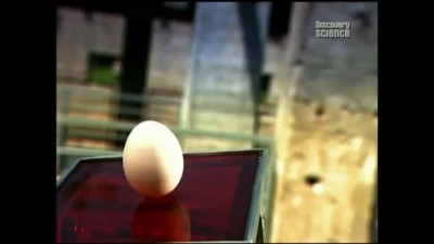 ЦЫПА  НАЧАЛО...