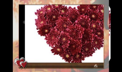 женщина моей мечты