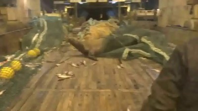 You will not believe what they caught!