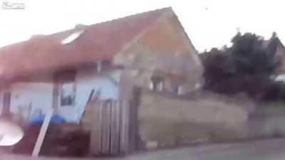 Смышленая сорока