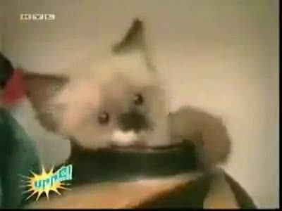 офигенно смешная подборка приколов!