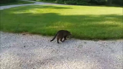 Неожиданный поворот