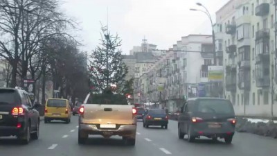 Елка-путешественница! Christmas Tree the traveler!