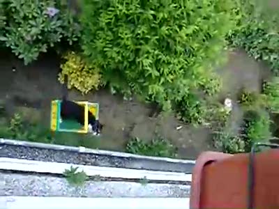 персональный лифт для кота