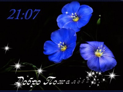 добро пожаловать