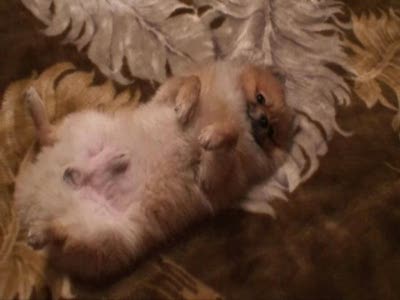 какой чудесный день