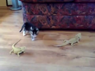 Бесстрашный