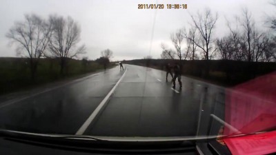 Славянск, Обстрел автомобиля Самообороной Донбасса