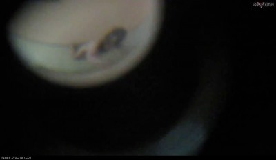 ошибся квартирой