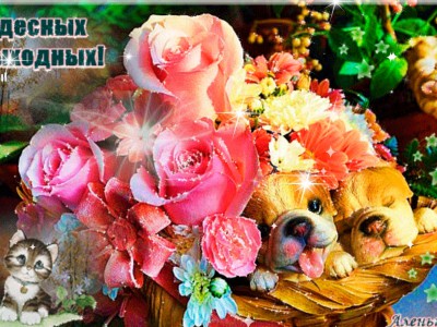 чудесных выходных