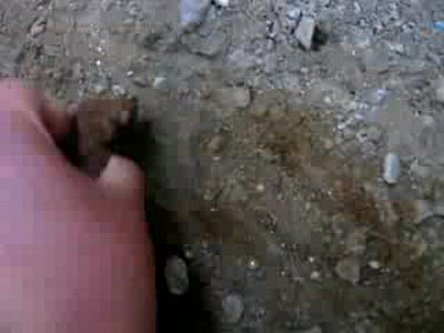 Второй чернобыль