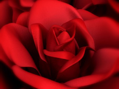 Wedding Tools II 158 Set 001