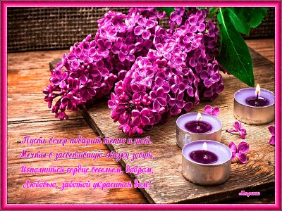 Добрый вечер !