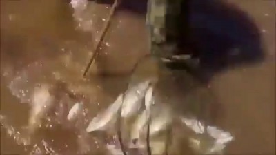 Инфаркт для рыбака!