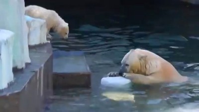 Учимся плавать))