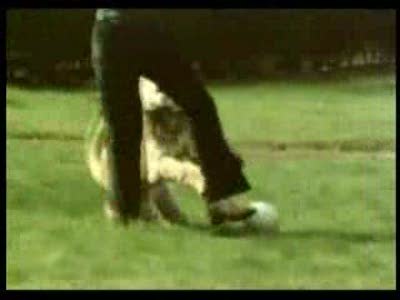 Лев Кристиан