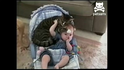 Кот и ребёнок