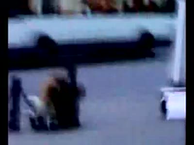 Собака и человек