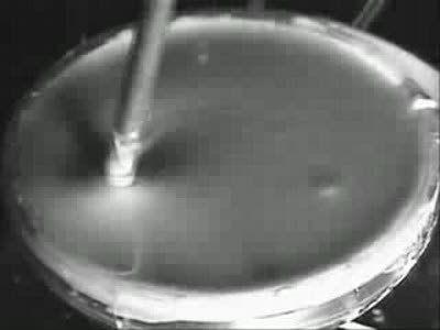 Эксперименты с неньютоновской жидкостью