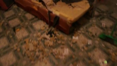 Две собаки устроили армагеддон в квартире