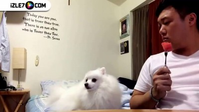 Про создание женщин,