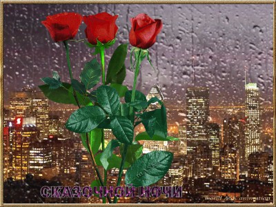 Сказочной Ночи!