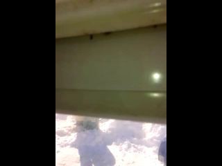 лиса на добыче