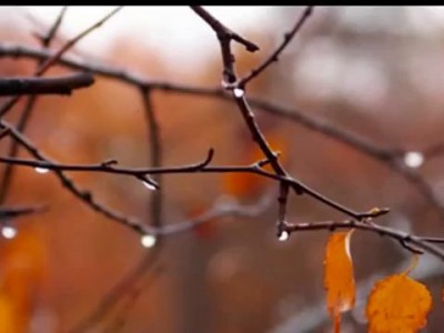 Сергей Есенин. Исповедь хулигана.