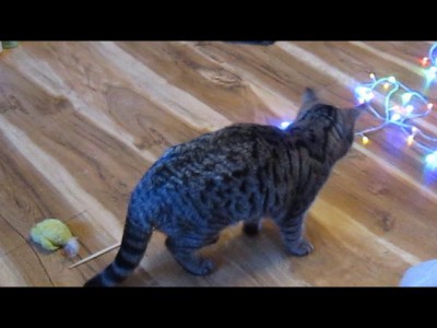 тихо спздл и ушёл...