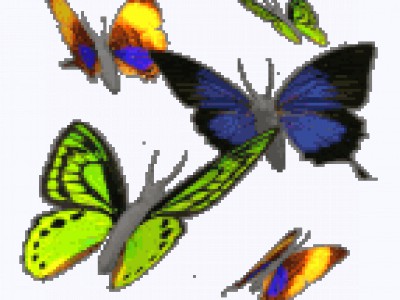 для вас друзья пение птиц