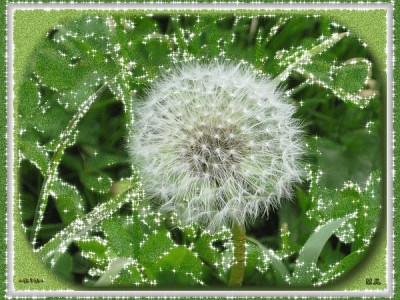 Алла Пугачева "Одуванчик"