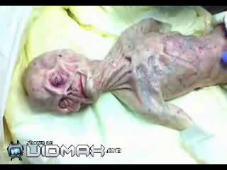 Аутопсия рептилоида