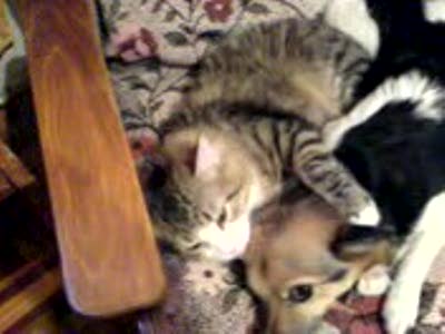 Котя и Кузя 